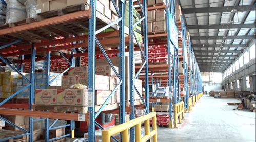 防疫在行動 黃州區織密冷鏈食品監管防護網，同步筑牢體育防護用品零售安全防線